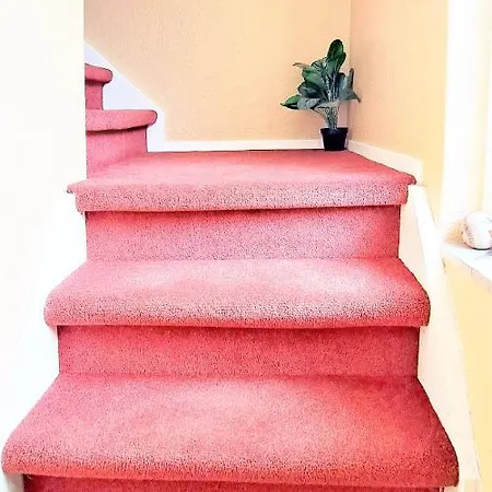 Homestay szállás Bennebroek B&B Bennebroek