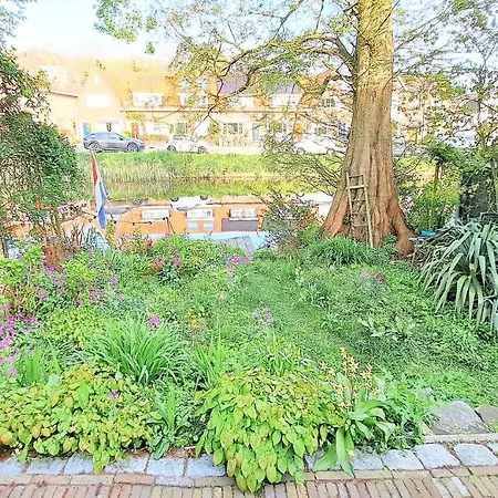Homestay Bennebroek B&B *