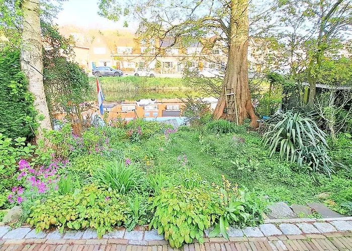 Accommodatie bij particulieren Met De Enorme Boom *